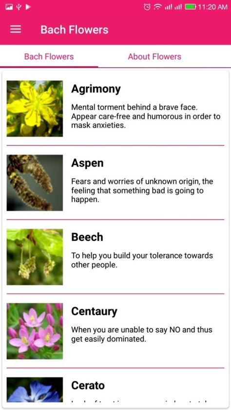 Dr.Bach's System of Flower Remedies - Hompath Flower Essences Remedies, Bach Flowers, Bach Flower Remedies, Different Types Of People, Withdrawal Symptoms, Flower Remedy, Spiritual Cleansing, Healing Vibrations, Body Balance