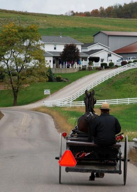 Amish buggy in Amish country Amish Farming, Amish Country Ohio, Amish Lifestyle, Amish Culture, Amish Life, Amish Farm, Plain People, Voyage New York, Amish Community