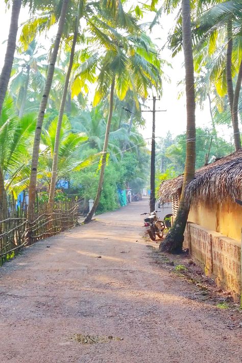 World Best Photography Pictures, Nature Road Background, Natural Baground Image, Beautiful Roads Photography, Village Road Background, Best Nature Pictures, Roads Photography, Tropical Photography, Road Background