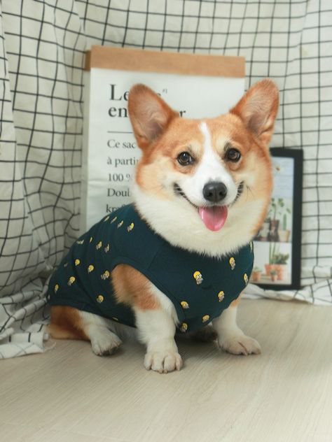 corgi clothes Corgi Outfits, Corgi In Clothes, Corgi In Costumes, Corgi Clothes, Corgi Running, Corgi Tshirt, Pet Supplies, Pet, Stars