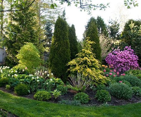 Small Garden Landscape Design, Landscaping Along Fence, Evergreen Landscape, Backyard Ideas For Small Yards, Small Yard Landscaping, Small Garden Landscape, Evergreen Garden, Privacy Landscaping, Garden Shrubs