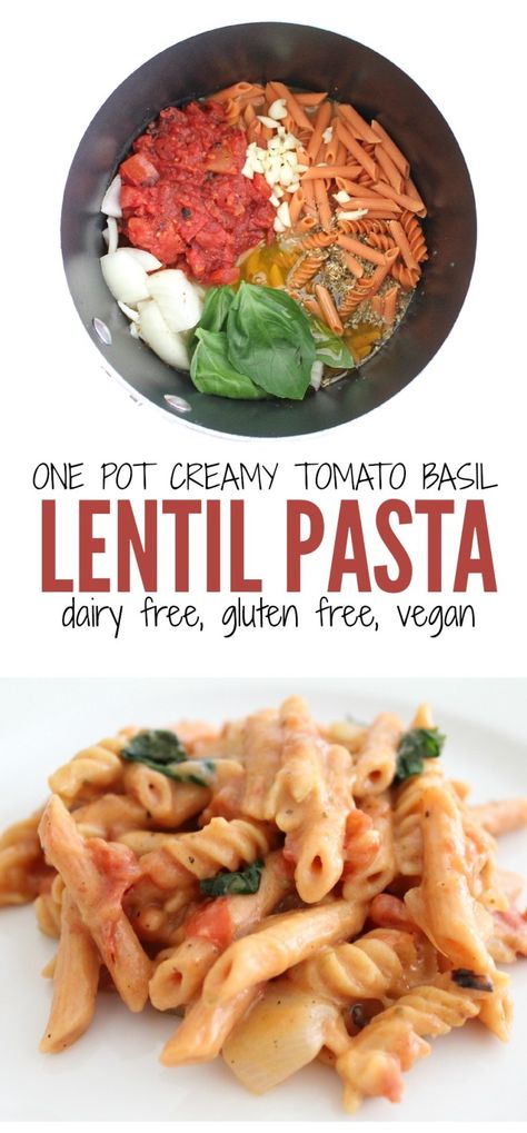 Red Lentil Pasta Recipes, Pasta Dairy Free, Creamy Tomato Basil Pasta, Lentil Pasta Recipe, Red Lentil Pasta, Health Lunch, Tomato Basil Pasta, Lentil Pasta, Basil Pasta