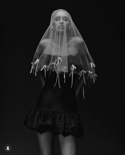 Veil Editorial, Bridal Editorial, Music Career, Accessories Collection, Wedding Veil, Wedding Classic, Rock N Roll, Veil, Plum