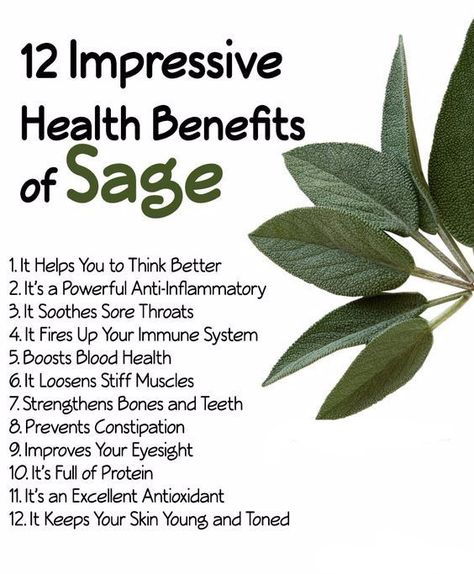 #benefits #sage #food #yum #fruit #freshfood #cleaneating #nutrition #wellness #fit #fitness #health #healthyeating #organic #vegan Benefits Of Sage, Sage Benefits, Sooth Sore Throat, Magia Das Ervas, Coconut Health Benefits, Stomach Ulcers, Anti Dieting, Benefits Of Coconut Oil, Healing Herbs