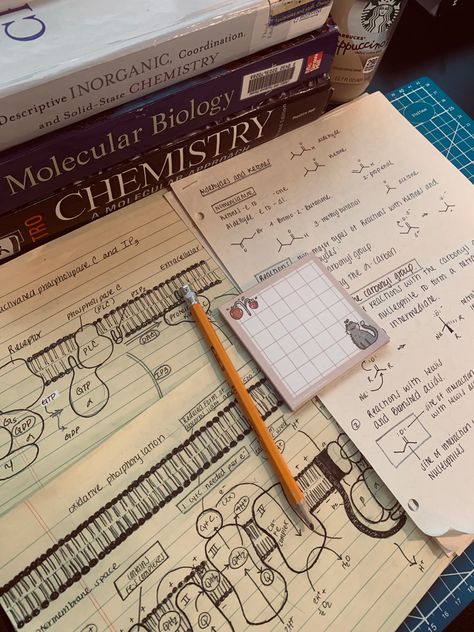 I have a passion for creating educational infographics to help students studying chemistry, biology, biochemistry, microbiology, chemical biology, organic chemistry, and other science based classes in college and high school throughout the fall and spring semesters. I truly hope these graphics help with your continued studies in medical school #science #chemistry #biology #notetaking #notetakingtips #handwrittennotes #notetaking #notes #medicalnotes #nursingnotes #sciencenotes Biochemistry Aesthetic Notes, Science College Aesthetic, Lessons In Chemistry Aesthetic Book, Chemistry Astethic, Biology And Chemistry Aesthetic, High School Science Teacher Aesthetic, Aesthetic Biochemistry, Chemistry Aethstetic, Chemistry A Level Aesthetic