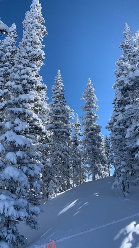 Powder day Aspen Wallpaper, Aspen Colorado Aesthetic, Colorado Wallpaper, Aspen Aesthetic, Aspen Core, Aspen Colorado Winter, Snow Colorado, Aspen Winter, Colorado Aesthetic