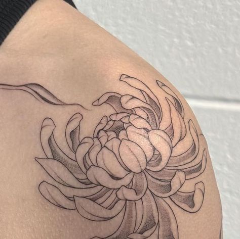 Sherry | Machine & Hand-poke Tattoos on Instagram: "Chrysanthemums with abstract background, thank you Chloe!  #chrysanthemumtattoo #montrealtattoo" Chrysanthemum Tattoo Meaning, Chrysanthemum Hand Tattoo, Chrysanthemum And Peony Tattoo, Chrysanthemum Shoulder Tattoo, Chrysanthemums Tattoo, Japanese Chrysanthemum Tattoo, Chrysanthemum Tattoo Design, Chrysanthemum Tattoos, Serendipity Tattoo