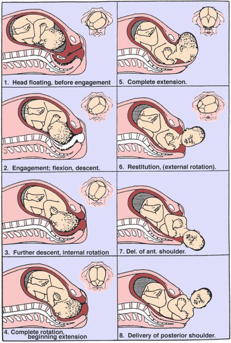 Labor. Preparation time! www.advancedmassagenetwork.com Labor Preparation, Newborn Nursing, Midwifery Student, Birth Education, Student Midwife, Stages Of Labor, Labor Nurse, Ob Nursing, Pregnancy Labor