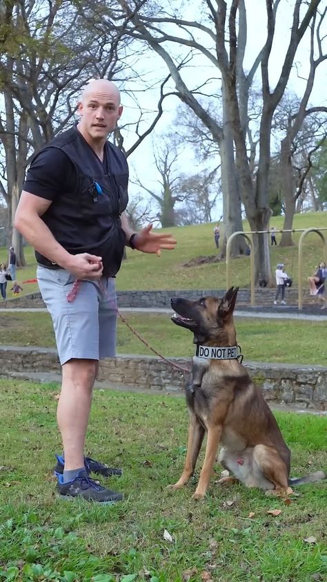 Dog Guard Dog Training, Dog Training Tools, Dog Training Books, Dog Potty Training, Dog Training Advice, Puppy Training Tips, Dog Training Videos, Modern Dog, Dog Obedience