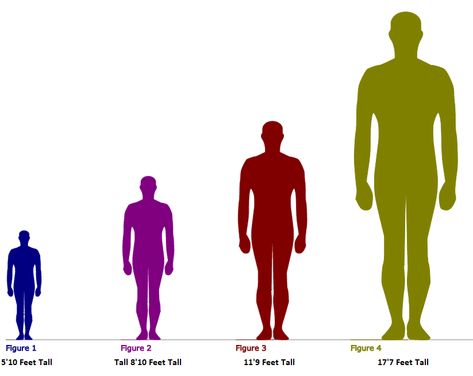 Human Height Comparison Chart, Height Difference Reference Chart, Hight Chart Character, Character Height Chart Reference, Height Reference Chart, Height Difference Chart, Height Chart Reference, Character Height Chart, Human Height