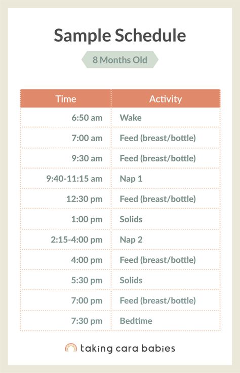 8 Months Sleep Schedule, 8 Month Old Nap Schedule, Sleep Schedule 8 Month Old, 7-8 Month Old Schedule, 8 Month Old Baby Schedule, 8 Month Sleep Regressions, 8 Month Sleep Schedule, 8 Month Old Wake Windows, 8 Month Schedule