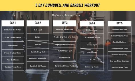 5 Day Dumbbell and Barbell Workout Plan with PDF 5 Day Workout Plan, Upper Body Day, Plan Day, 5 Day Workouts, Dumbbell Workout At Home, Dumbbell Fly, Barbell Row, Pre Workout Food, Reps And Sets