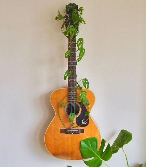 Guitar Decor Ideas, Mini Homestead, Broken Guitar, Homemade Wall Art, Monstera Plant Care, Mermaid Eyes, Bush Craft, Monstera Adansonii, Plant Magic