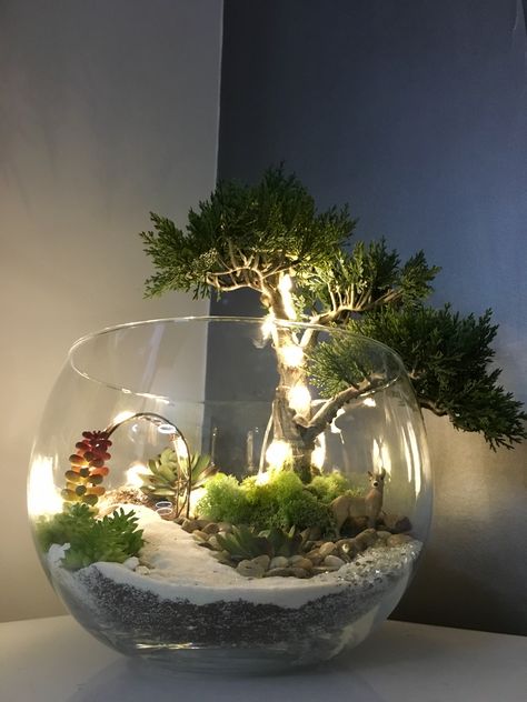 Terrarios Suculentas Ideas, Terrarium Arrangements, Small Terrarium Ideas, Plant Ideas Indoor, Indoor Plant Hacks, Indoor Plant Ideas, Fairy Garden Pots, Indoor Plants Styling, Diy Succulent Terrarium