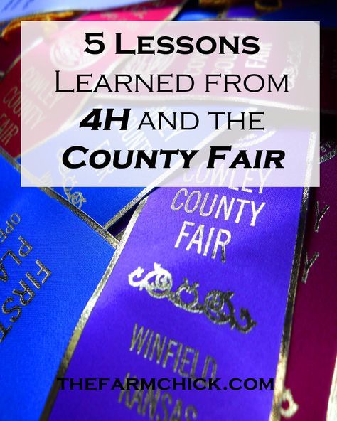 County Fair Crafts, County Fair Projects, 4h Fair, 4 H Clover, Pageant Questions, Sponsorship Levels, 4 H Club, Friend Poems, Carnival Rides