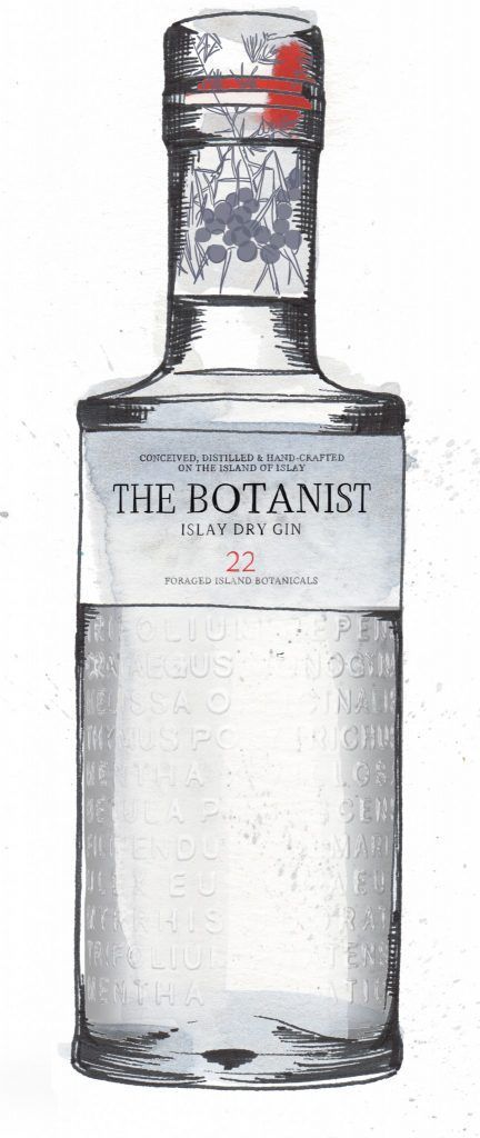 Gin Illustration, The Botanist Gin, Botanist Gin, The Botanist, Gin Bottle, Gin Bottles, Watercolour Illustration, Dry Gin, Jack Daniels Whiskey Bottle