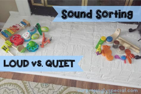 Loud And Soft Sounds Activities, 5 Senses Craft, Toddler Activities Daycare, 5 Senses Preschool, Aesthetic Classroom, Five Senses Preschool, 5 Senses Activities, Senses Preschool, Toddler Math