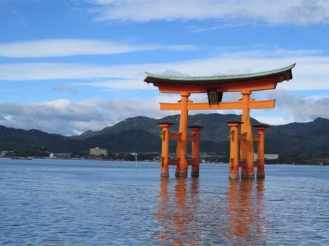 How To Travel From Osaka To Miyajima Places In Japan, Beautiful Places In Japan, Japanese Shrine, Japan Holidays, Japan Destinations, Shinto Shrine, Japan Travel Guide, Best Places To Live, Most Beautiful Cities