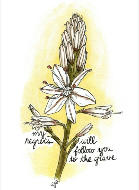 asphodel flower meaning Asphodel Flower, Flower Dictionary, Greek Flowers, The Language Of Flowers, Flower Meanings, Language Of Flowers, Oscar Wilde, Follow You, Lotus Flower Tattoo