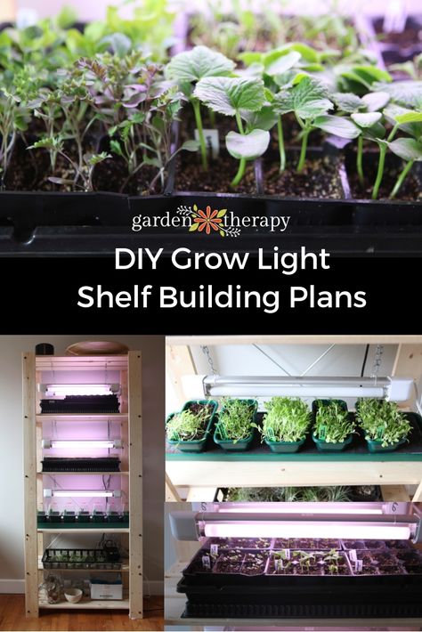 Grow Light Shelf Set Up for Seed Starting Indoors. Building plans to fashion your very own indoor grow op with an inexpensive Ikea shelving unit and some utility lighting. #gardentherapy #gardeningtips #indoorgarden Grow Light Shelf, Indoors Garden, Seed Starting Indoors, Seed Starting Containers, Ikea Shelving, Ikea Shelving Unit, Seedlings Indoors, How To Grow Plants, Indoor Grow