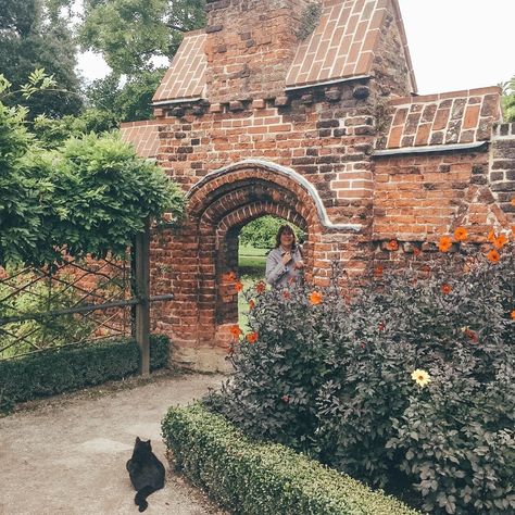 palace cat • Instagram Fulham Palace, Cat Instagram, Walled Garden, Hide And Seek, West London, Tea Room, Garden Wall, Cats Of Instagram, Palace