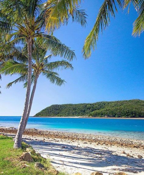 Keswick Island. Mackay. QLD, Australia. Tropical Queensland, Snow Caps, Tropical Rainforest, Incredible Places, Countries Of The World, Queensland, Travel Ideas, Places To Visit, Australia