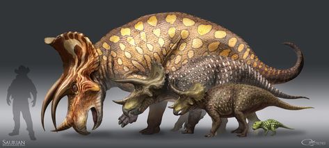 Triceratops Ontogeny, RJ Palmer on ArtStation at https://www.artstation.com/artwork/1qlqL Rj Palmer, Dinosaur Sketch, Dinosaur Era, Of Monsters And Men, Prehistoric Wildlife, Ancient Animals, Prehistoric Art, Paleo Art, Extinct Animals