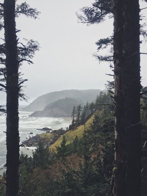 Ecola State Park. Cannon Beach, Oregon Moody Oregon Coast, Oregon Coast Aesthetic, Oregon Aesthetic, Ecola State Park, Dark Naturalism, Cannon Beach Oregon, Twilight Aesthetic, Between Two Worlds, State Of Oregon