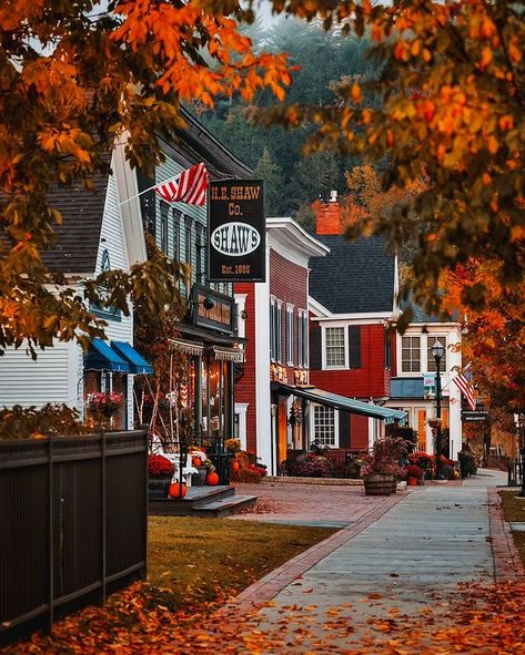 All Posts • Instagram Vermont In The Fall, Vermont Fall, Stowe Vt, Stowe Vermont, New England Fall, Instagram Blogger, Style Blogger, In The Fall, Cozy Fall