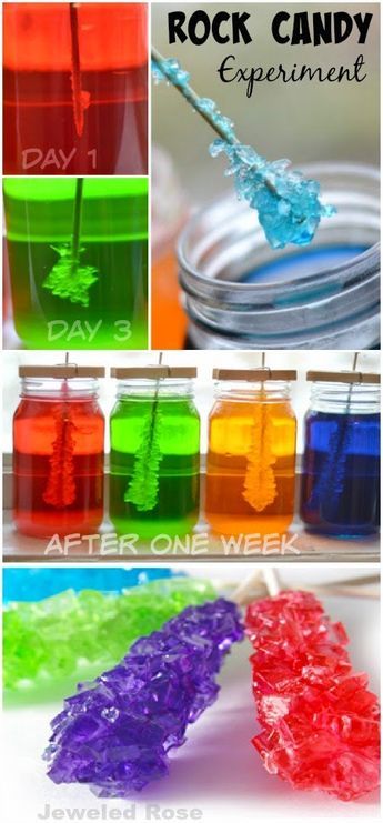 Rock Candy Experiment, Vetenskapliga Experiment, Candy Experiments, Kid Science, Craft Kids, Flower Craft, Rock Candy, Cool Ideas, Science Fair