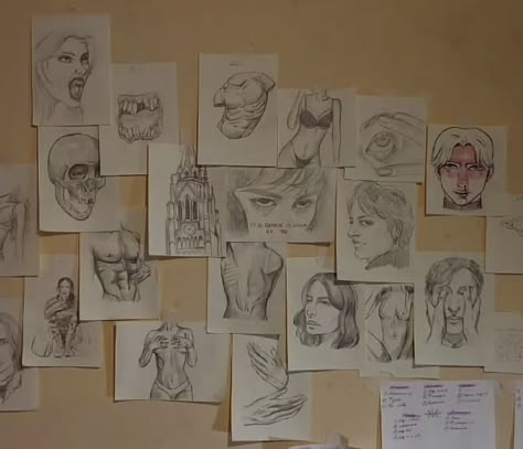 Wall Of Sketches, Dark Academia Room Ideas, Art Student Aesthetic, Birds Photography Nature, Art Studio Room, Artsy Aesthetic, Cute Wall Decor, Pencil Sketch Images, Drawing Wall