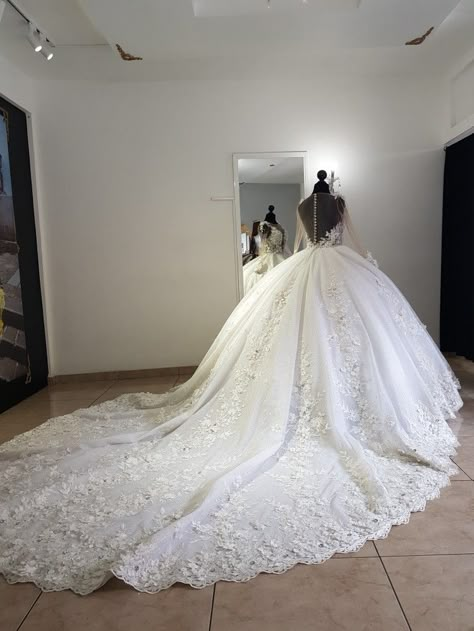 Big Long Wedding Dresses, Dream Wedding Gown Princesses, Wedding Dresses Big Poofy, Wedding Dresses Poofy, Princess Ballgown Wedding Dresses, Poofy Wedding Dresses, Wedding Dresses Ball Gown Fairytale, Poofy Wedding Dress, Puffy Wedding Dresses