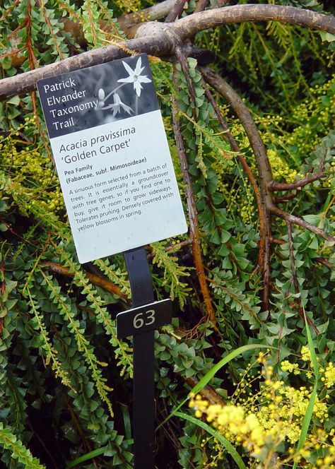 Eden By The Bay: Botanical Gardens: University of California, Santa Cruz Arboretum Farm Signage, Garden Signage, Uc Santa Cruz, Interpretive Signage, Park Signage, Plant Signs, Identify Plant, City Decor, Garden Labels