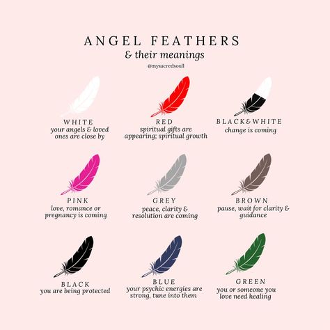 feathers are a symbol of connection to the spiritual realm. here’s some meanings behind their colours 🪶✨🪽 www.mysacredsoul.co.uk #signs #payattentiontothesigns #signsfromtheuniverse #signsfromabove #signsfromspirit #signsfromheaven #feathers #feathermeanings #synchronicity #synchronicities #feathermeanings #angelsigns #crystalshop #crystalshopuk #intuitivehealer #crystalhealer Feather Meaning Spiritual, Spiritual Meaning Of Feathers, Feathers Spiritual Meaning, Feather Symbolism Meaning, Feather Meaning Symbols Spiritual, Feather Spiritual Meaning, Feather Signs, Feather Symbolism, Feather Tattoo Meaning