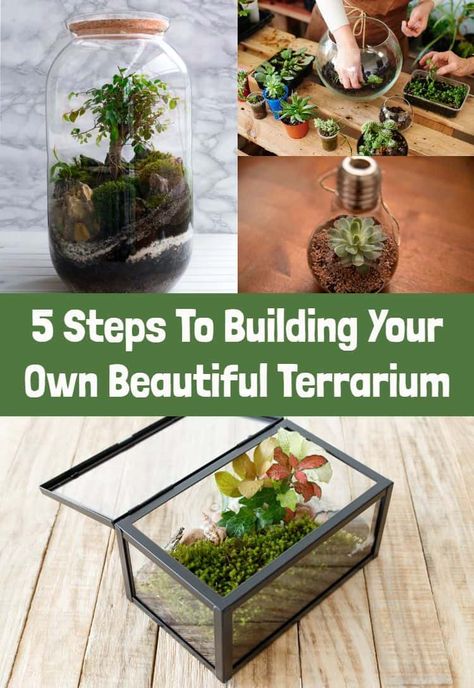 DIY Terrariums: Everything You Need To Know To Build Your Own Plant Terrarium Diy Plant Terrarium How To Make, How To Make A Plant Terrarium, Making Terrariums Diy, Building Terrarium, Diy Plant Gifts, Terrarium Wedding Centerpiece, Diy Terrariums, Plant Space, Tiny Terrarium