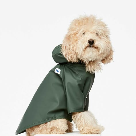 Pet Brand, Dogs Clothes, Green Raincoat, Dog Brand, Knit Dog Sweater, Dog Raincoat, Dog Branding, Dog Fashion, Dog Clothing