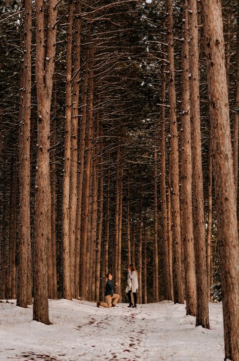 Winter Proposal Ideas Engagement, Country Proposal Ideas, Christmas Engagement Proposal, Forest Proposal, Proposal Ideas Simple, Surprise Engagement Photos, Summer Proposal, Outdoor Proposal, Cute Proposal Ideas