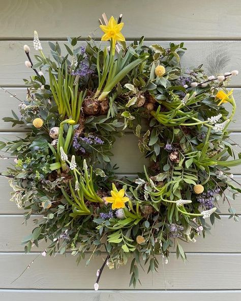 The Petal Shed on Instagram: "Luxury Spring Wreath Workshop Join myself and Dawn @sunnyviewflowers for another of our relaxed, creative workshops making your own fresh mossed wreath. Under our careful guidance we will teach and support you to create your masterpiece. Your living wreath will be full of spring goodies including bulbs such as narcissi tête-à-tête and fresh scented foliage. All materials, tools and refreshments are included and costs £65 per person. Sunday 12th March at Allostoc March Wreath, Living Wreaths, Bulb Wreath, Spring Wreath Ideas, Wreath Workshop, Spring Door Wreath, Spring Flower Wreath, Easter Door Wreaths, Living Wreath