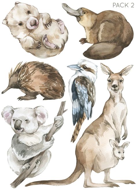 Australian Animal Wall Decals, Australian Animal Nursery - Fable and Fawn Shrub Wall, Cute Australian Animals, Australian Animal Nursery, Zoo Logo, Australian Fauna, Australia Animals, Animal Wall Decals, Australian Wildlife, Platypus