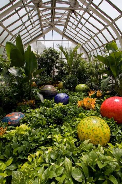 Chihuly exhibit at the Franklin Park Conservatory in Columbus, Ohio Conservatory Aesthetic, Franklin Park Conservatory, Rainforest Habitat, Butchart Gardens, Ohio Travel, Globe Art, State Capital, Dale Chihuly, Seasonal Displays