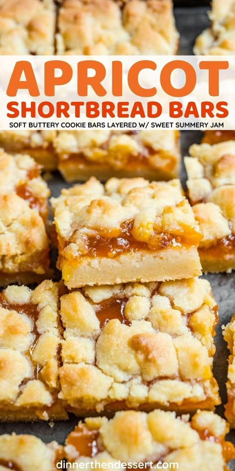 Apricot Filling Recipe, Apricot Bars Recipe, Desert Bread, Apricot Delight, Seder Dinner, Apricot Dessert, Apricot Jam Recipes, Apricot Recipes, Classic Cookies Recipes