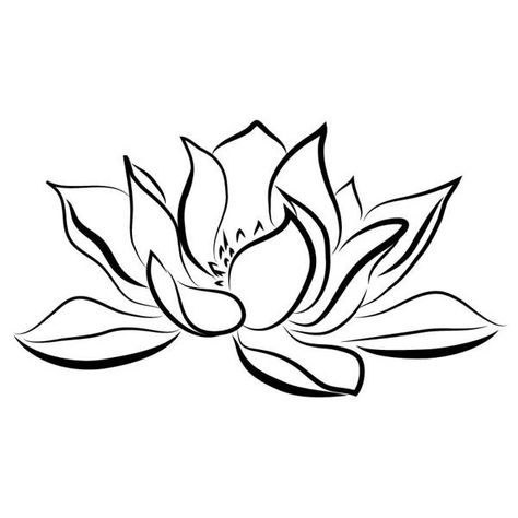 Water Lily Drawing, Tattoos Lotus, Water Lily Tattoo, Draw Outline, Lily Tattoos, Lily Water, Flower Tattoo Stencils, Lotus Tattoos, Water Lily Tattoos