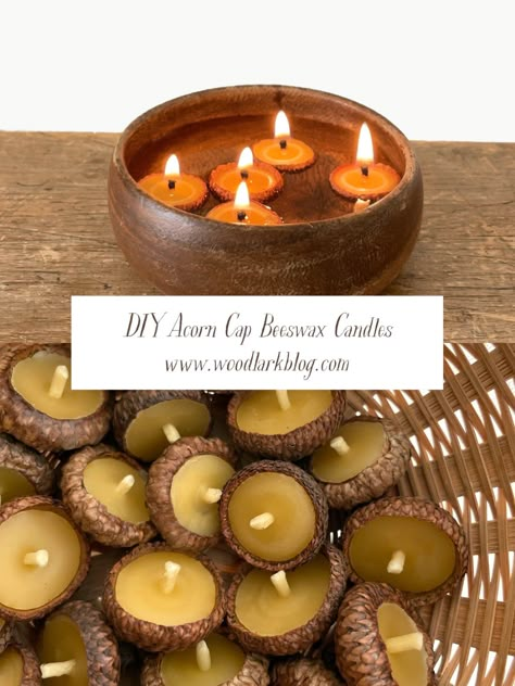 Acorn Shell Crafts, Acorn Candle Holder, Acorn Floating Candles, Floating Acorn Candles, Acorn Cap Candles, Handmade Beeswax Candles, Diy Natural Decorations, Beeswax Diy Ideas, Walnut Shell Crafts Diy