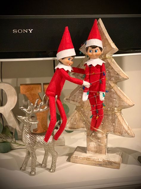 Day 5- Elfy was trying to hang the Christmas lights. Poor Coco, stuck in an uncomfortable position. Elf Couple, Shelf Lights, Elf 2024, Christmas Couple Pictures, Christmas Couple, On The Shelf, Christmas Inspiration, Couple Pictures, Elf On The Shelf