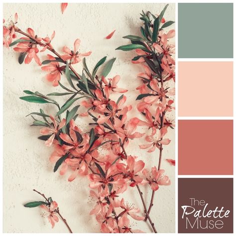 Muted Floral Color Palette, Terracotta Pink Colour Palette, Colour Palette 4 Colours, 4 Colors Palette, Dusty Colour Palette, Spring Floral Color Palette, Dusty Pink Colour Palette, Palette Couleur Terracotta, Muted Spring Color Palette