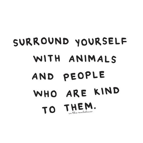 "Surround yourself with animals and people who are kind to them." Kindness To Animals Quotes, Animal Kindness Quotes, Animal Welfare Quotes, Animal Rights Quotes, Animal Lover Quotes, Animal Activism, Vegan Quotes, Animal Liberation, The Dragon Prince