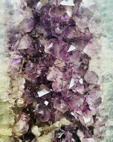 Elevate your space with white light, love, beauty and great energy with this beautiful Large Amethyst X Calcite Inclusions. This is a gorgeous piece with great color & nicely polished sides. Rich purple amethyst points are surrounded by jasper in blue green tones. I love how the Amethyst portal pulls you in! This will make a great addition to any space. Raw beauty & great energy. Amethyst is a stone of spiritual protection and purification. It is a Wind element stone that stimulates ... Wind Element, Amethyst Point, Spiritual Protection, Rich Purple, Raw Beauty, Green Tones, Purple Amethyst, White Light, Portal