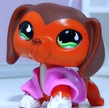 Lps Dachshund, Anniversary Songs, Lps Popular, Super Cool Stuff, Lps Toys, Lps Pets, Lps Littlest Pet Shop, Beanie Boos, Monster High Dolls