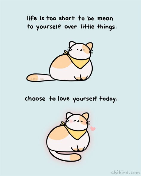 A very soft and chubby cat with an important reminder for self love! ♡ Pre-order my book Loading Penguin Hugs! Chi Bird, Positive Text, Kawaii Quotes, Cheerful Quotes, Chubby Cat, Cute Motivational Quotes, Cheer Up Quotes, Bird Quotes, Crush Memes