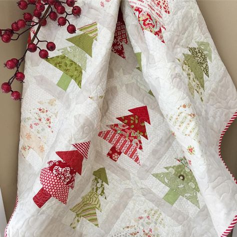 1,184 Likes, 54 Comments - Margot Languedoc (@thepatternbasket) on Instagram: “Tree Farm! 🎄 #thepatternbasket #christmasquilt #treefarmquilt #showmethemoda” Winter Pines, Tree Quilt Pattern, Missouri Quilt, Christmas Tree Quilt, Missouri Star Quilt Company, Christmas Quilt Patterns, Holiday Sewing, Holiday Quilts, Tree Quilt